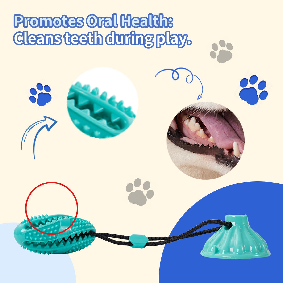 Suction Cup Rope Molar Dog Toy Ball — Tug & Teeth Cleaning