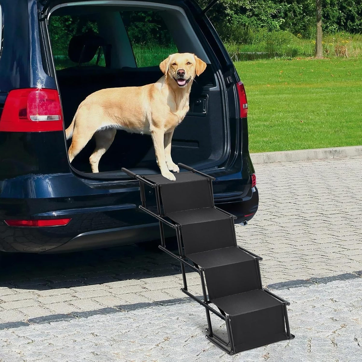 Fellie Foldable Dog Ramp with Non-Slip Surface & Adjustable Angle - Supports up to 80kg