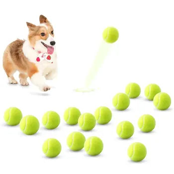Bite-Resistant Tennis Ball Dog Toy