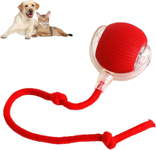 360 Auto-Rolling Ball Toy for Cats & Dogs