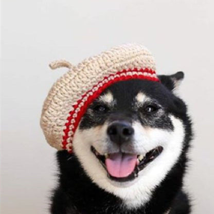 Hand-Knitted Wool Beret & Collar Set for Dogs