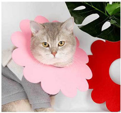 Sunflower Elizabethan Recovery Collar