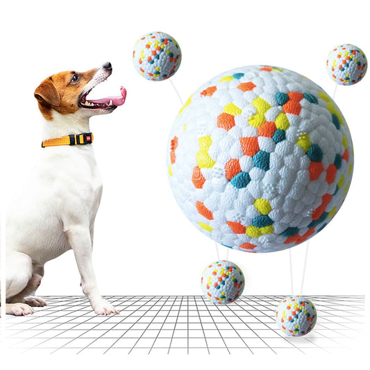Dog Molar Chew Ball Toy — Bite-Resistant & Tooth Cleaning