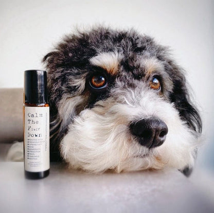 Natural Aromatherapy Rollerball For Dogs