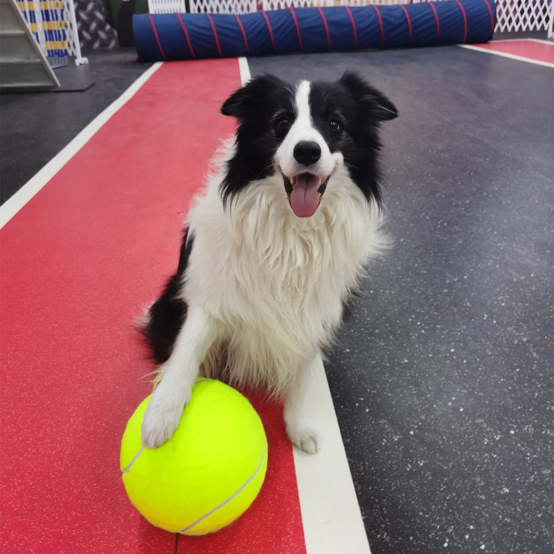 Inflatable Rubber Training Ball for Dogs — Large Fetch & Play Ball