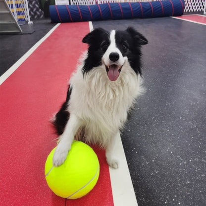 Inflatable Rubber Training Ball for Dogs — Large Fetch & Play Ball