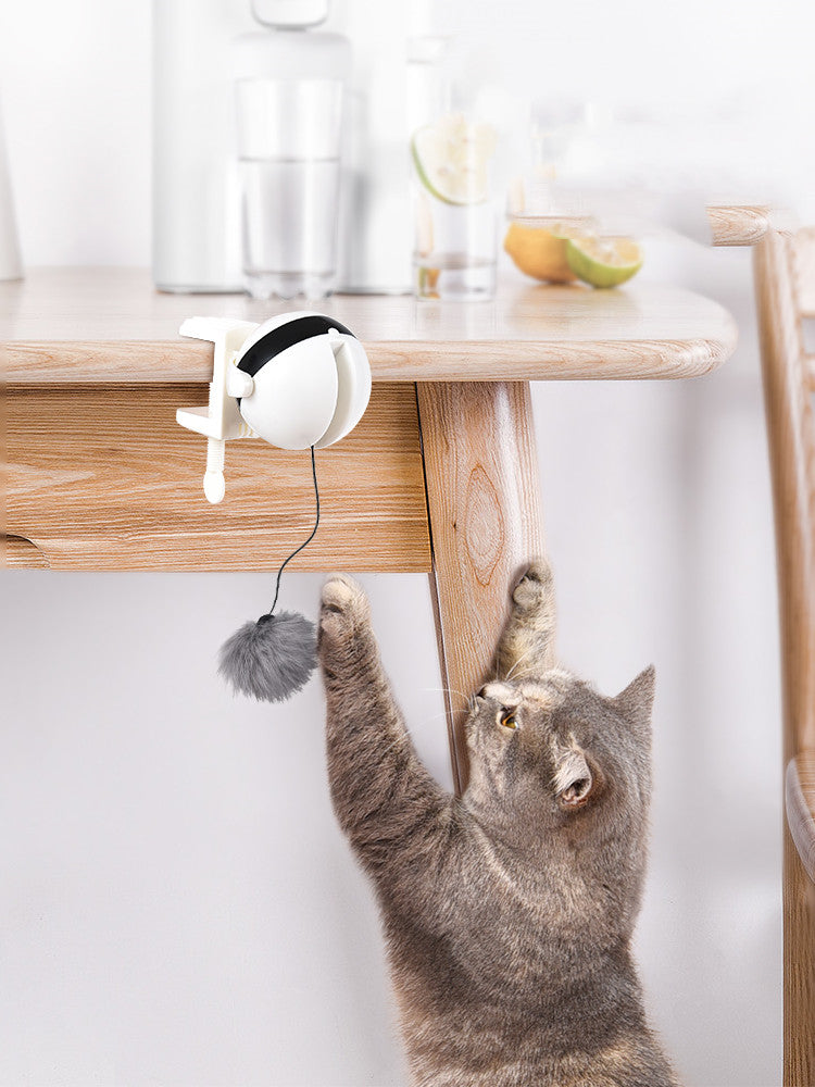 Electric Lifting Motion Cat Teaser Ball — Interactive Puzzle Toy