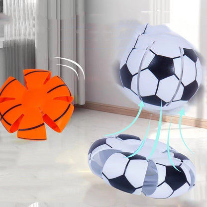 Elastic Step Ball Outdoor Dog Toy — Football, Basketball & Baseball