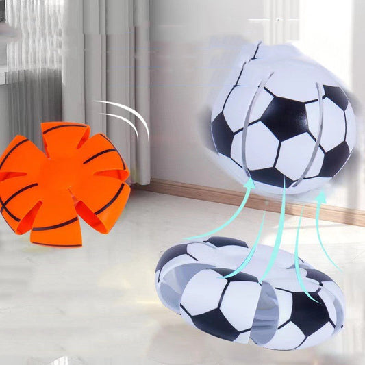 Elastic Step Ball Outdoor Dog Toy — Football, Basketball & Baseball