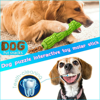 Treat Dispensing Rubber Chew Toy for Aggressive Chewers