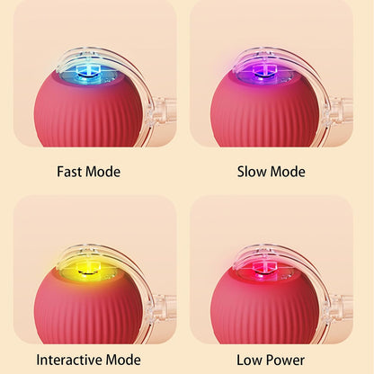 360 Auto-Rolling Ball Toy for Cats & Dogs