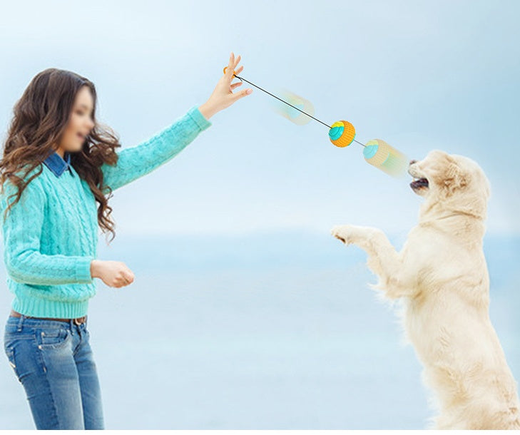 Retractable Throw & Dental Chew Ball for Dogs