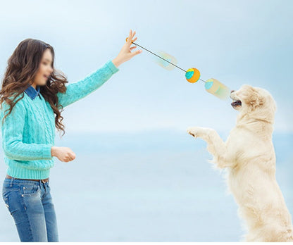Retractable Throw & Dental Chew Ball for Dogs
