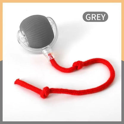 Bite-Resistant Squeaky Ball Toy for Cats & Dogs