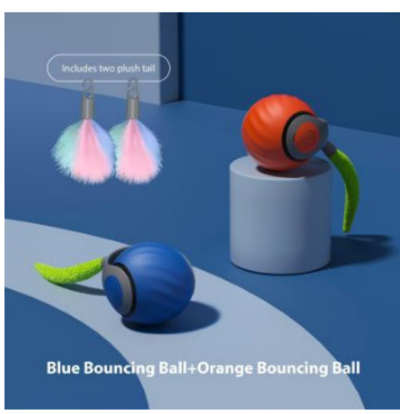 Bite-Resistant Squeaky Ball Toy for Cats & Dogs