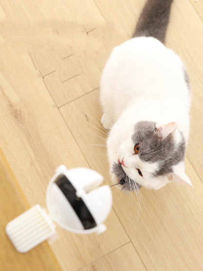 Electric Lifting Motion Cat Teaser Ball — Interactive Puzzle Toy