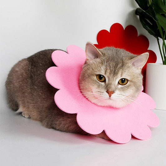 Sunflower Elizabethan Recovery Collar