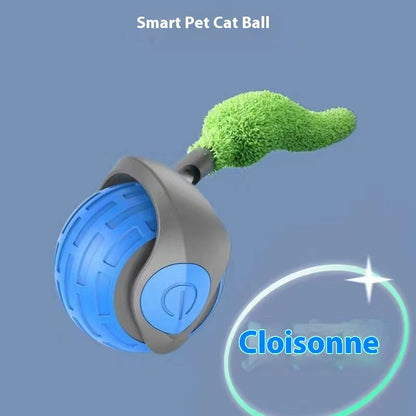 Bite-Resistant Squeaky Ball Toy for Cats & Dogs