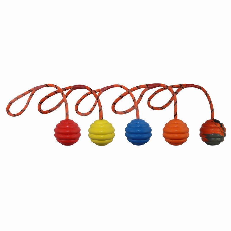 Rubber Ball Rope Knot Molar Dog Toy — Interactive Chew & Fetch