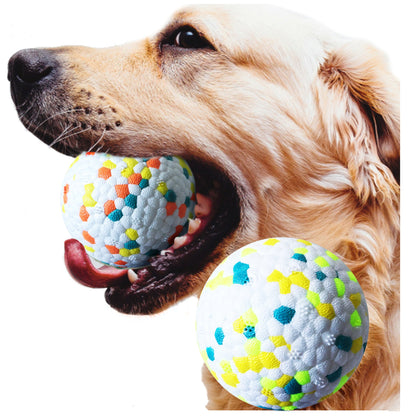 Dog Molar Chew Ball Toy — Bite-Resistant & Tooth Cleaning