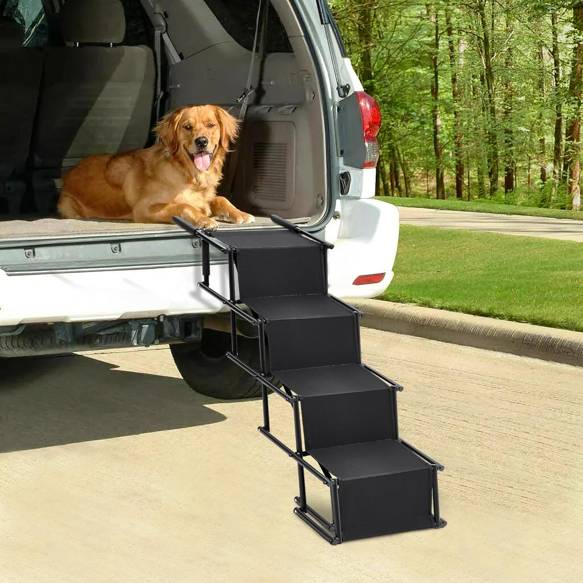Fellie Foldable Dog Ramp with Non-Slip Surface & Adjustable Angle - Supports up to 80kg