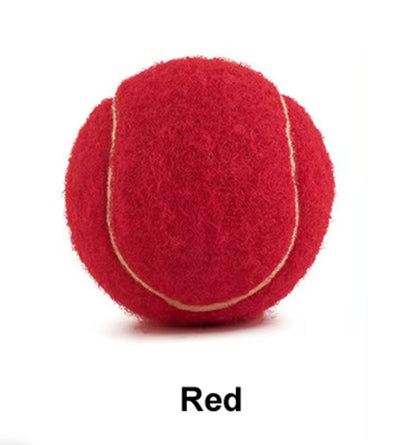 Bite-Resistant Tennis Ball Dog Toy