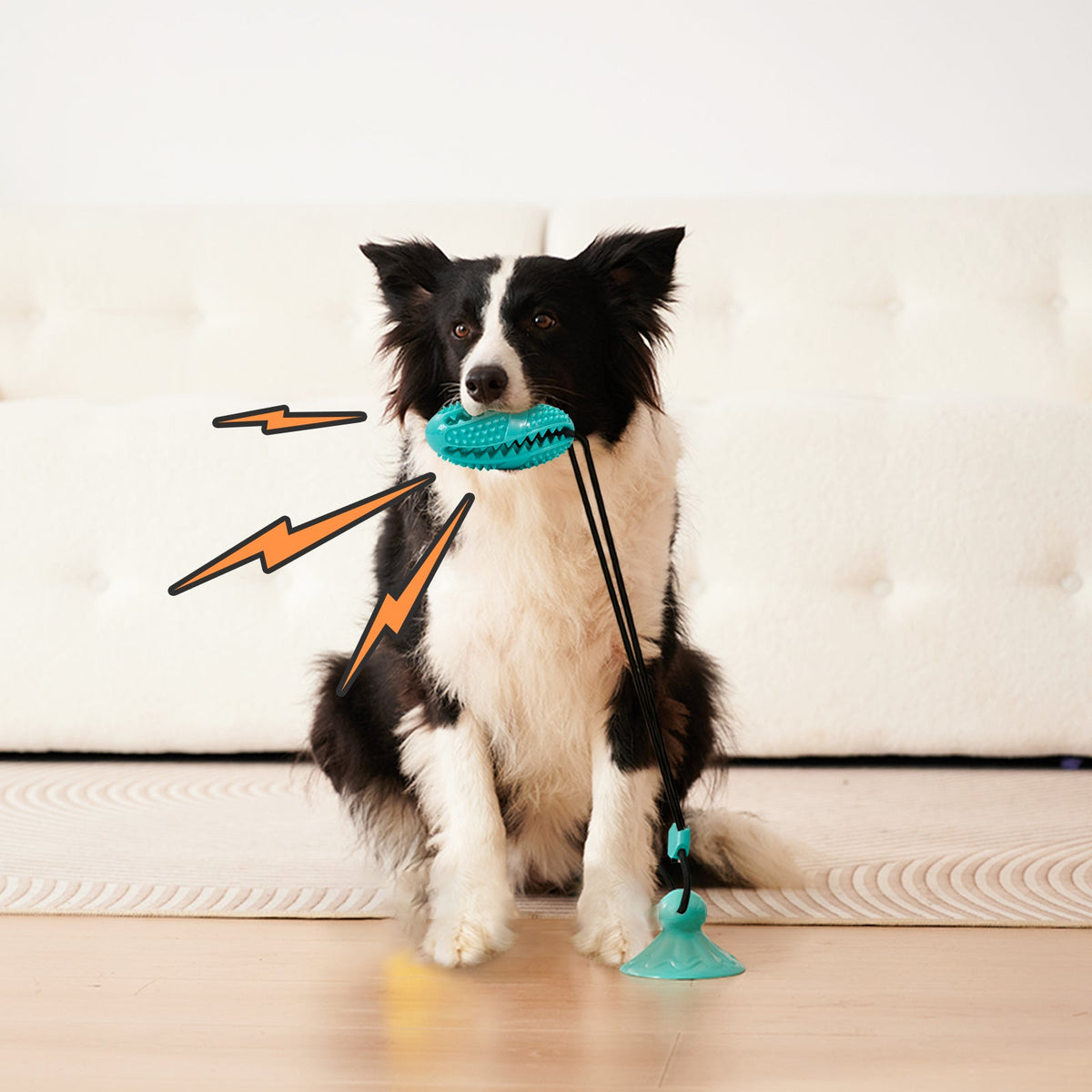 Suction Cup Rope Molar Dog Toy Ball — Tug & Teeth Cleaning