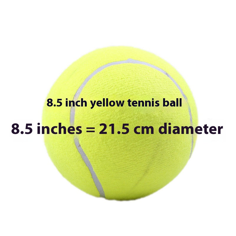 Inflatable Rubber Training Ball for Dogs — Large Fetch & Play Ball