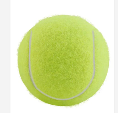 Bite-Resistant Tennis Ball Dog Toy