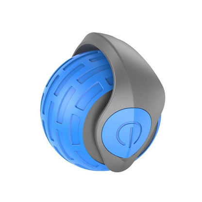 Bite-Resistant Squeaky Ball Toy for Cats & Dogs