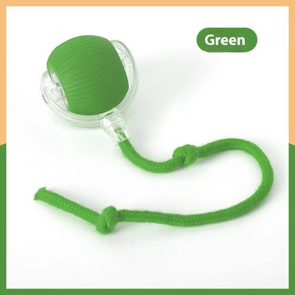 Bite-Resistant Squeaky Ball Toy for Cats & Dogs