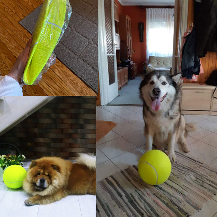Inflatable Rubber Training Ball for Dogs — Large Fetch & Play Ball