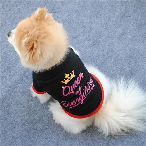 Printed Breathable Dog T-Shirt — Black