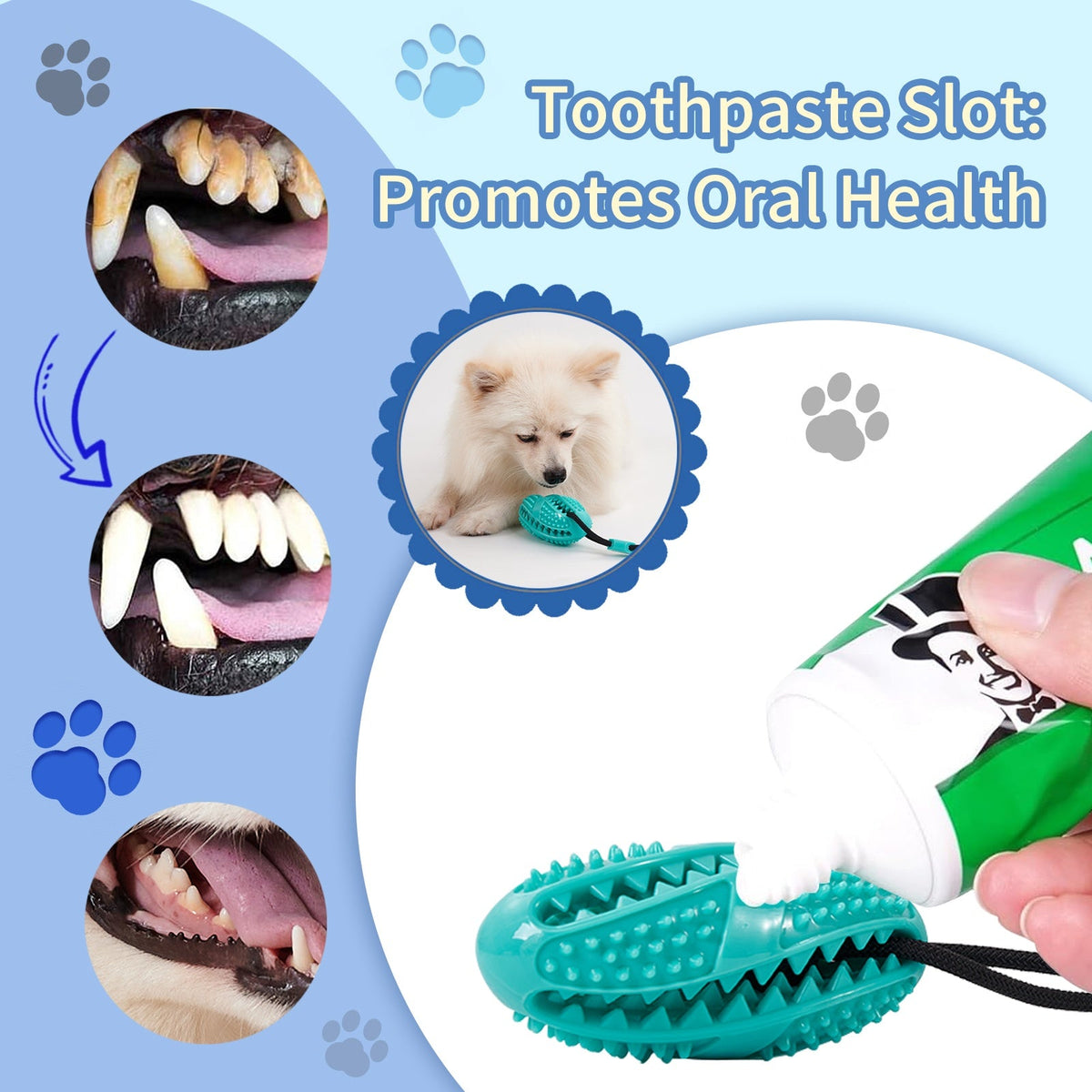 Suction Cup Rope Molar Dog Toy Ball — Tug & Teeth Cleaning