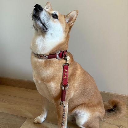 Kitsuné Tartan Red Paracord & Biothane Dog Collar