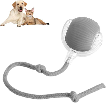 360 Auto-Rolling Ball Toy for Cats & Dogs