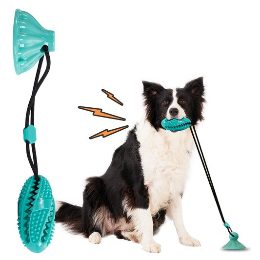 Suction Cup Rope Molar Dog Toy Ball — Tug & Teeth Cleaning