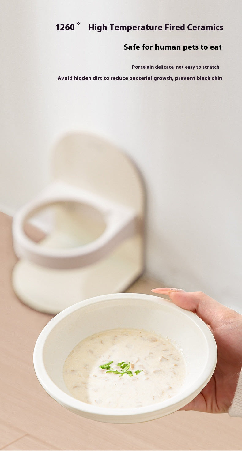 Elevated Ceramic Cat Bowl — Tilted Design for Cervical Health