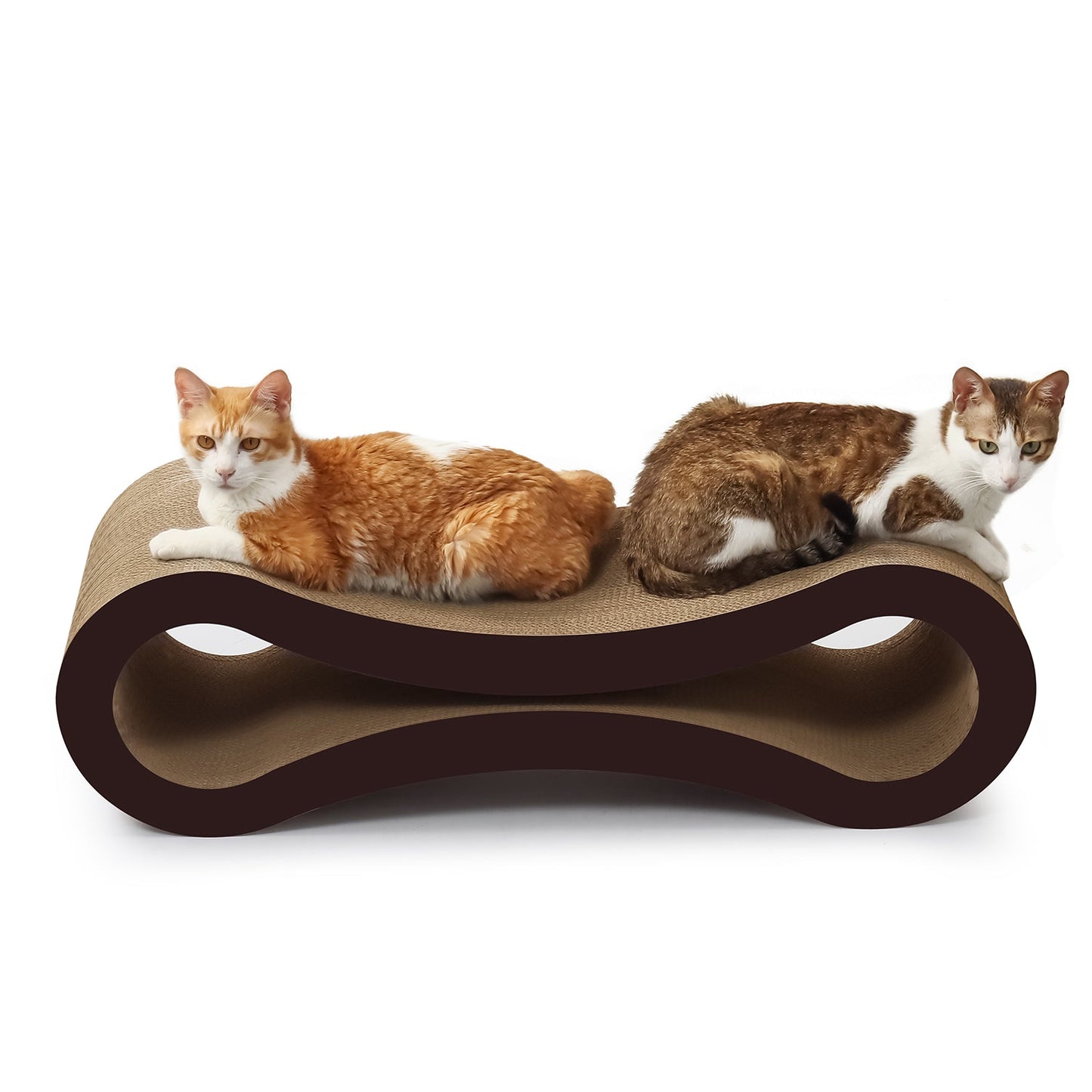 Ultimate Cat Scratcher Lounge