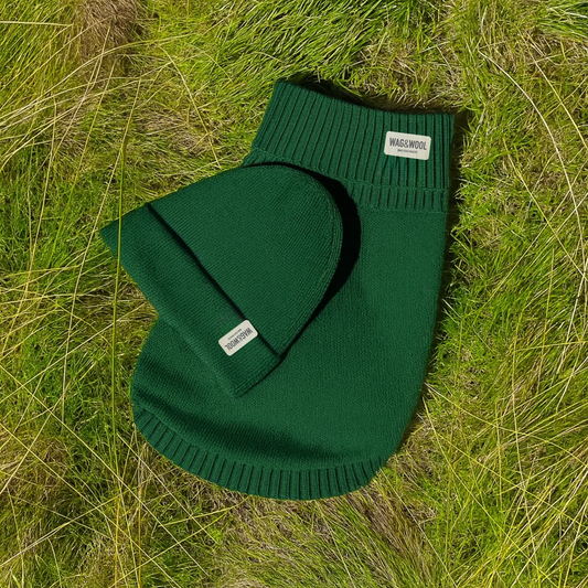 Forest Green British Wool Jumper