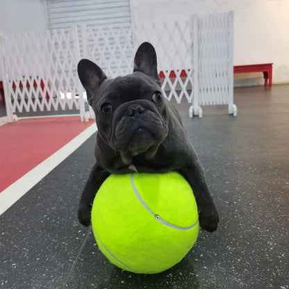 Inflatable Rubber Training Ball for Dogs — Large Fetch & Play Ball