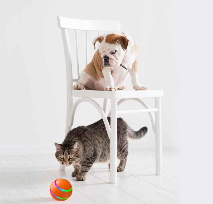Self-Rotating Cat Ball Toy