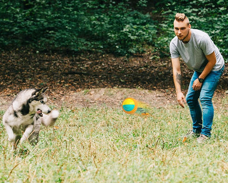 Retractable Throw & Dental Chew Ball for Dogs