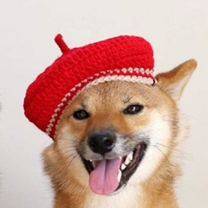 Hand-Knitted Wool Beret & Collar Set for Dogs