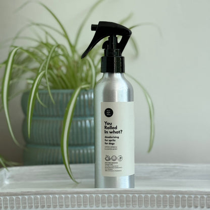 You Rolled in What?! Deodorising Dog Fur Spritz – 150ml
