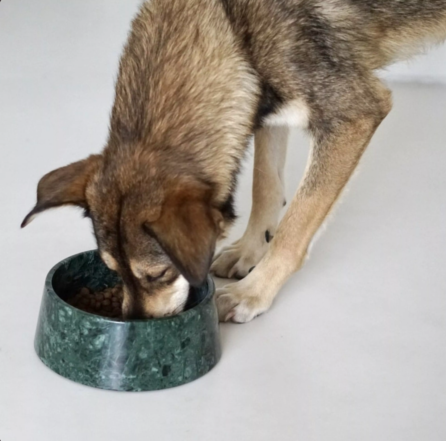 Dark Green Marble Dog Bowl