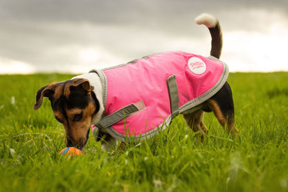 Waterproof Dog Coat - High Viz Pink
