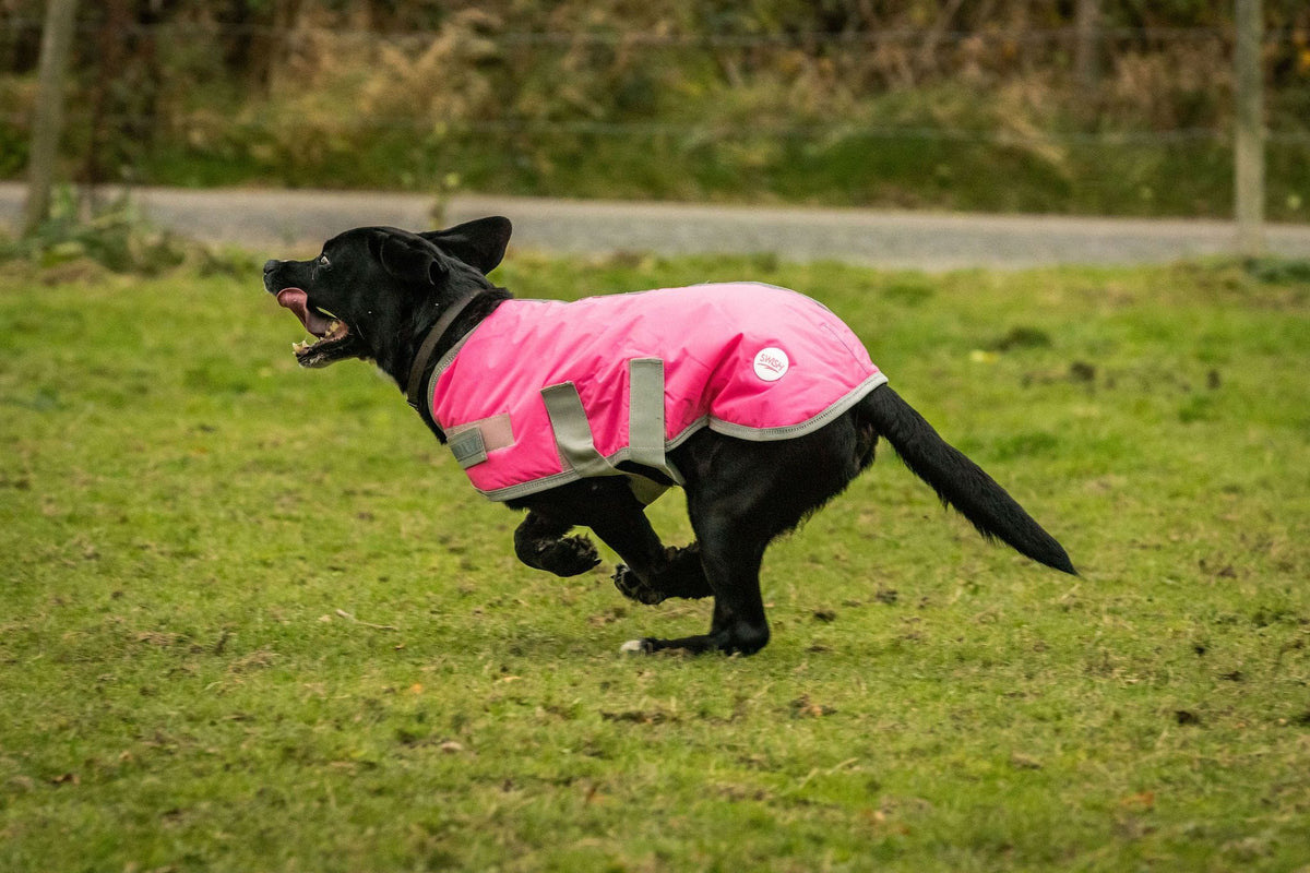 Waterproof Dog Coat - High Viz Pink