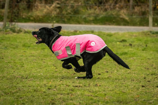 Waterproof Dog Coat - High Viz Pink