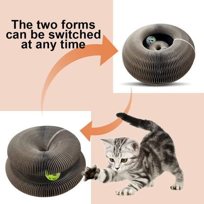 Organ Shape Cat Scratching Board with Bell Toy